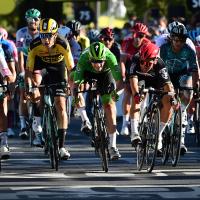 Cykelryttere i feltet, der kæmper om at vinde en etape af Tour de France