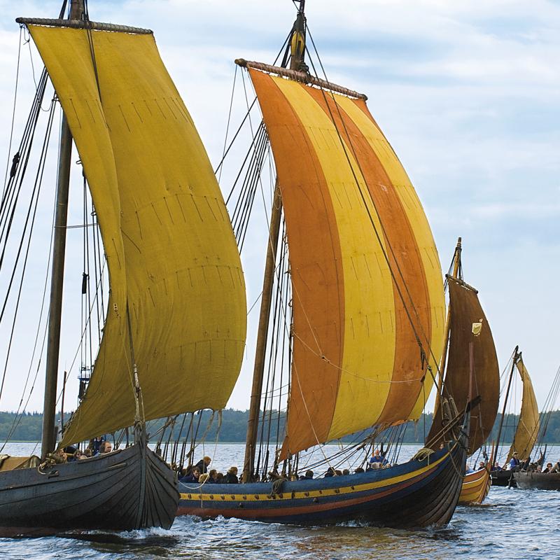 Vikingeskibe på Roskildefjord